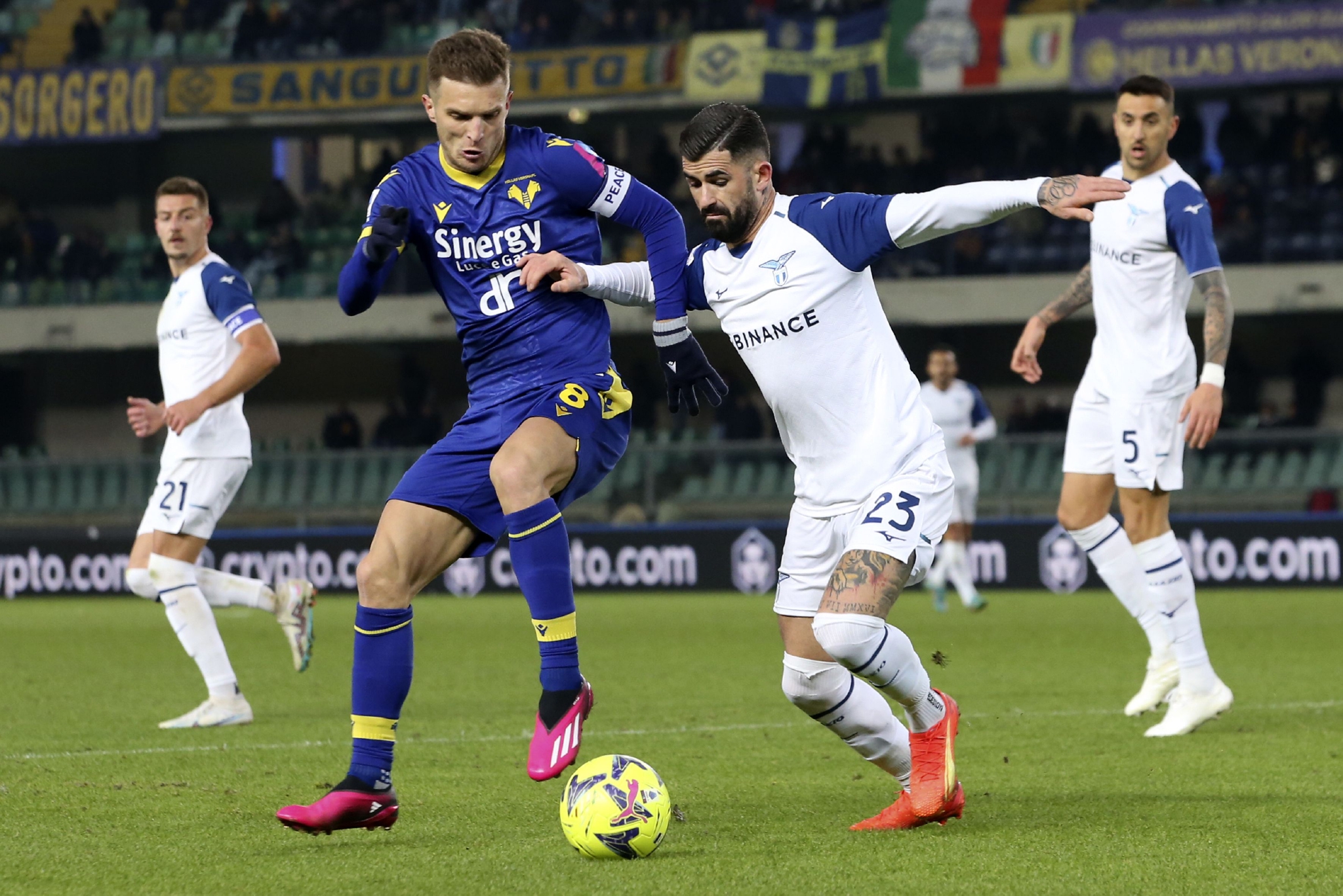 维罗纳遭遇博洛尼亚绝平,保级形势严峻的简单介绍 维罗纳遭遇博洛尼亚绝平,保级形势严峻的简单介绍