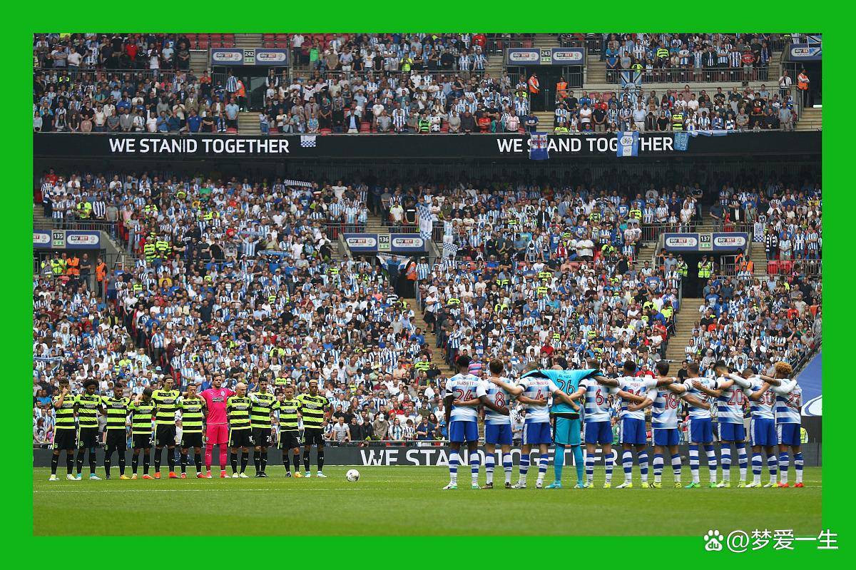 杏彩体育地址-那不勒斯取胜都灵，重返胜利轨道的简单介绍